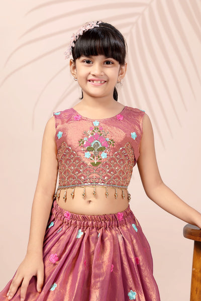 Premium Pink Embroidered Girls Lehenga Choli